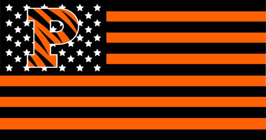 Princeton University American Flag