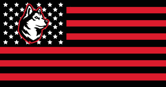 Northeastern American Flag