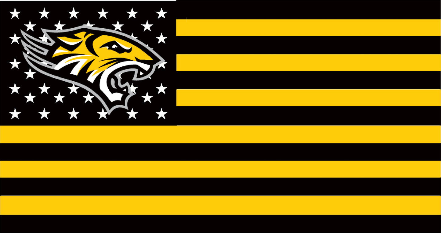 Towson University American Flag