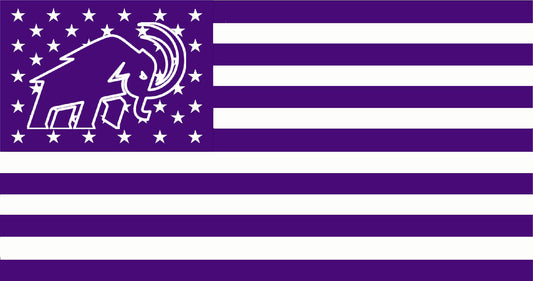 Amherst College American Flag