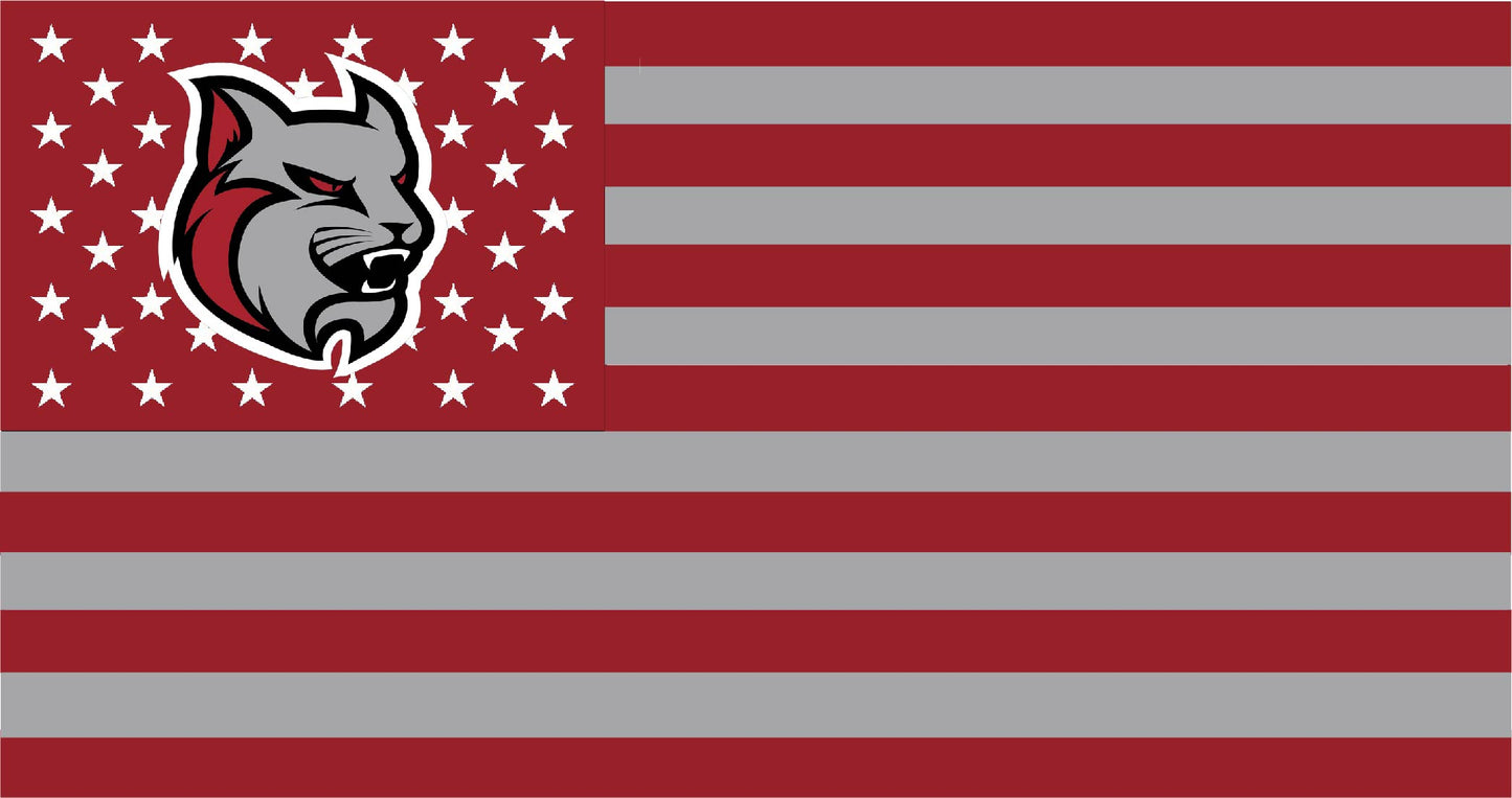 Anna Maria College American Flag