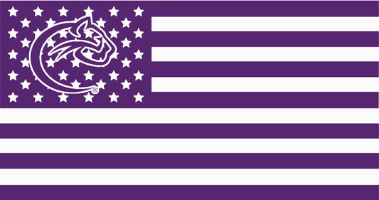 Chatham University American Flag