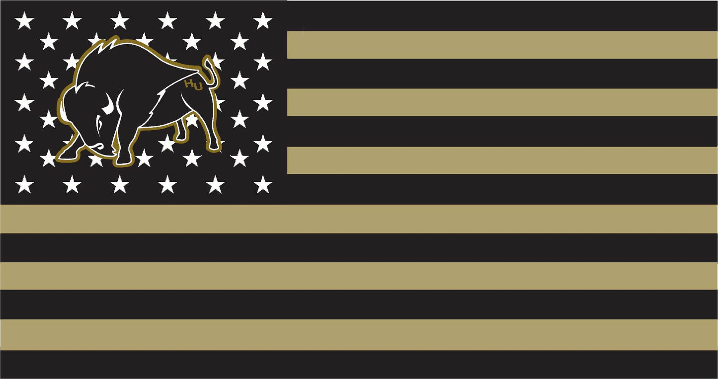 Harding University American Flag