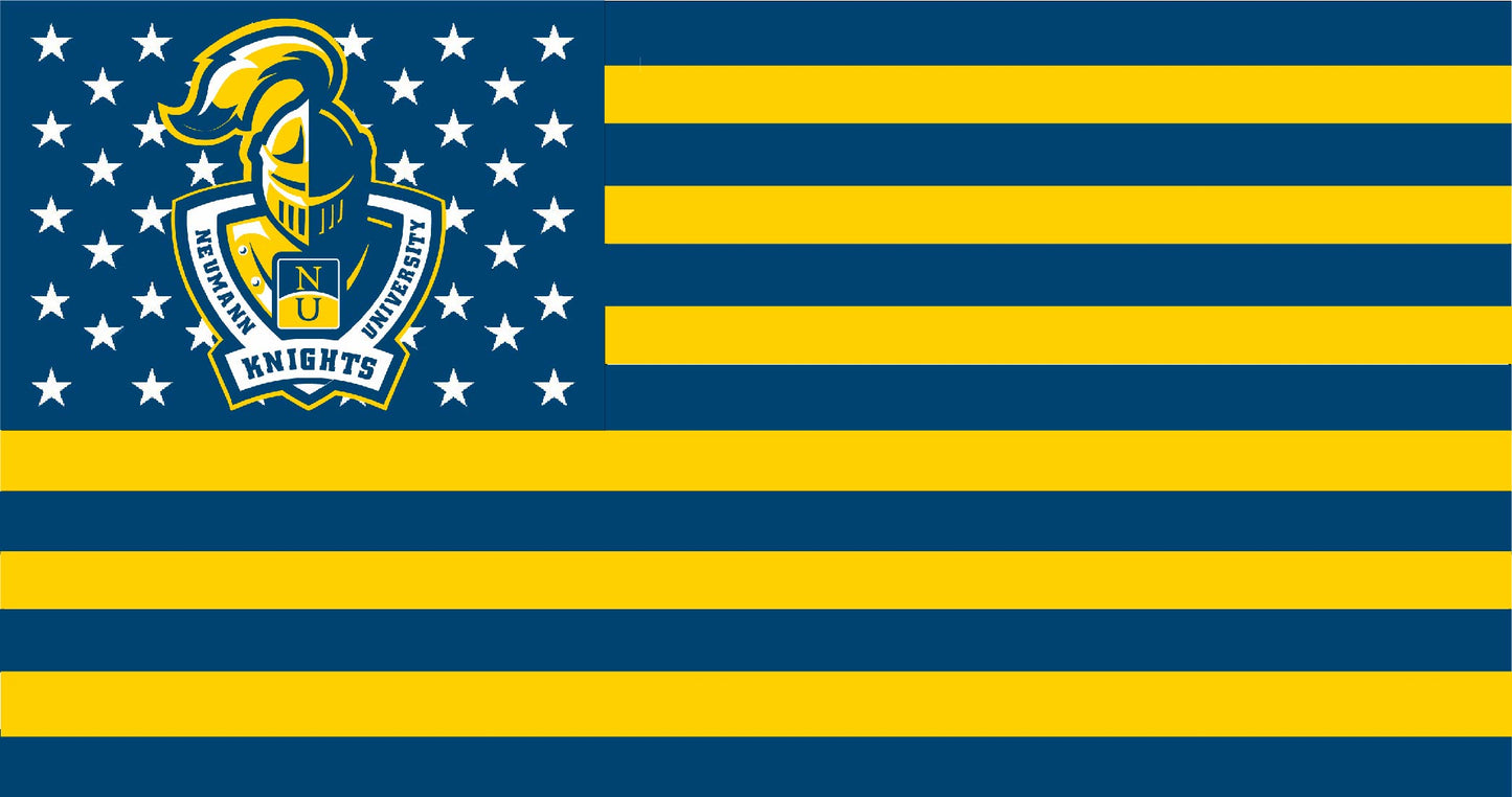 Neumann University American Flag