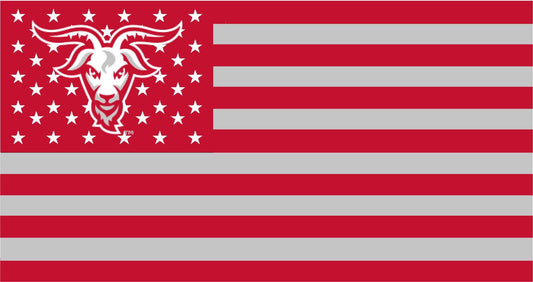 Worcester Polytechnic Institute American Flag