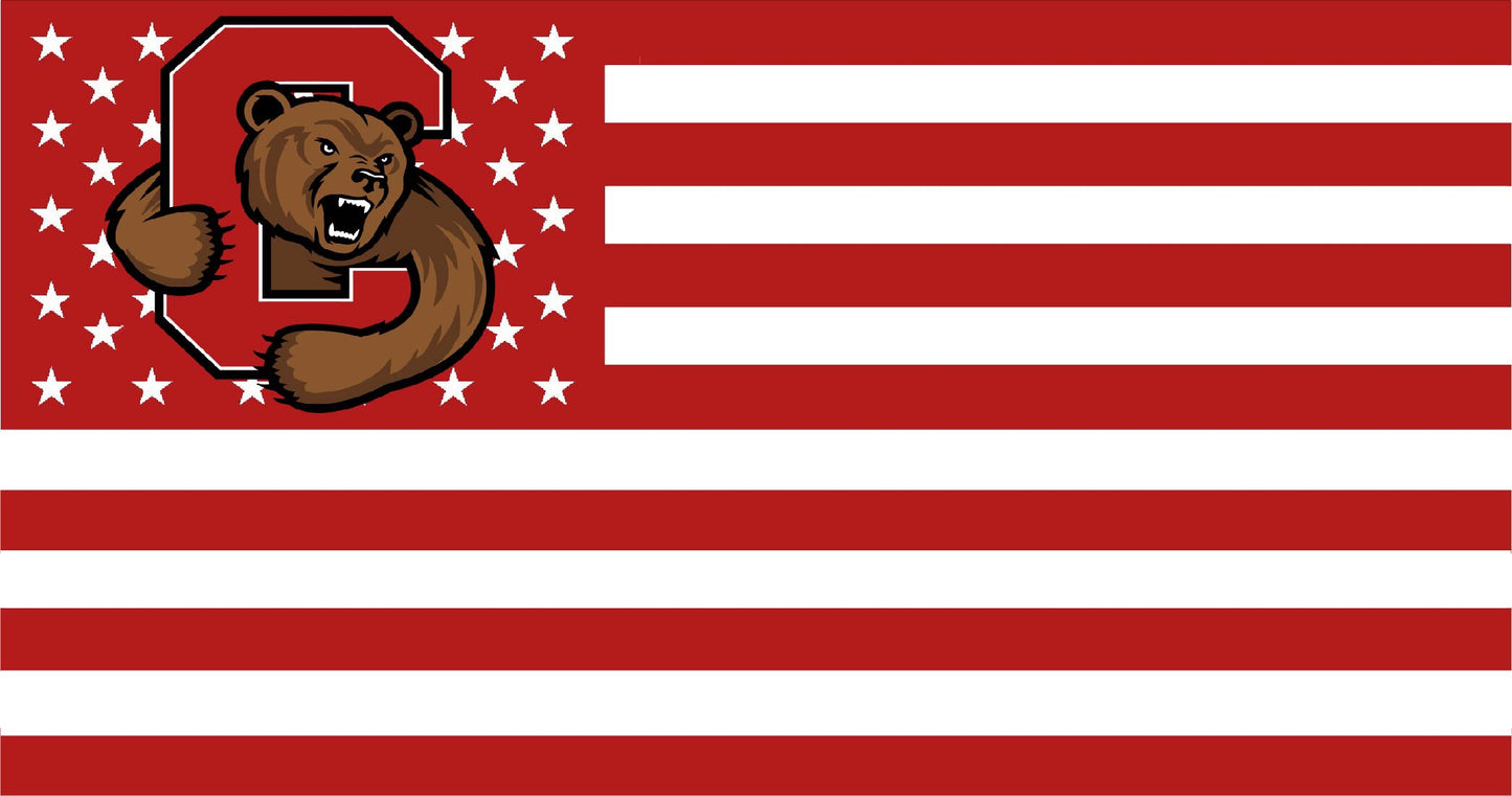 Cornell American Flag
