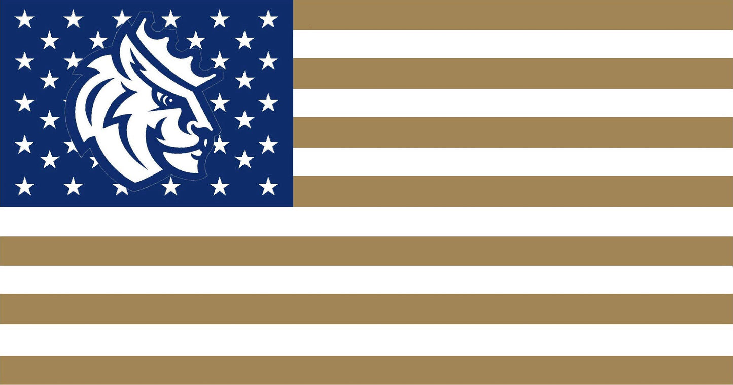 Queens University of Charlotte American Flag
