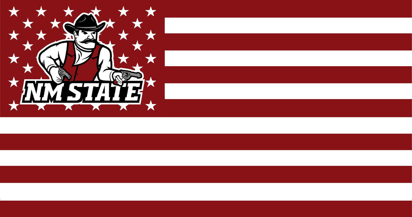 New Mexico State American Flag